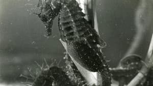 The Sounds of Science — foto 1