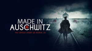Medizinversuche in Auschwitz - Clauberg und die Frauen von Block 10 — foto 3
