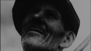 Galicia 1936-2011. Estudos sobre o filme de Carlos Velo — foto 1
