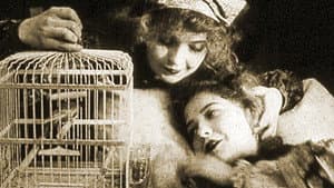 The Lady and the Mouse — foto 1