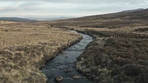 The New Spirit of Whisky — foto 1