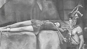 Jungle Girl — foto 1