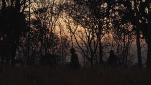 Terra e Luz — foto 1