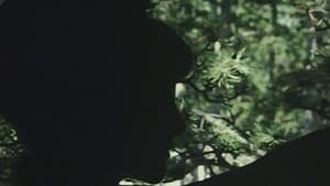 Eneide — foto 6