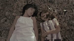 Domingo Violeta — foto 1