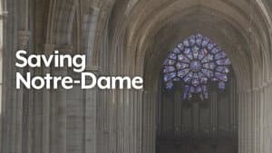 Saving Notre Dame — foto 3