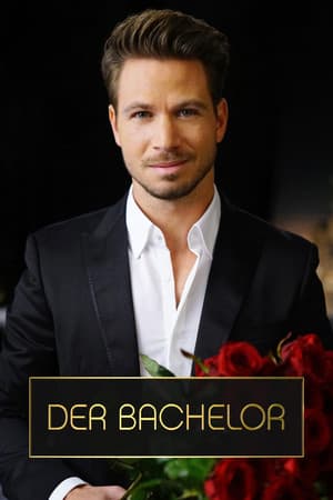 Temporada 7