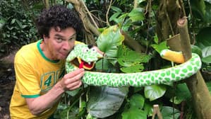 Op stap met Dirk Scheele de Film — foto 3