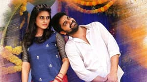 అమ్మమ్మగారిల్లు — foto 1