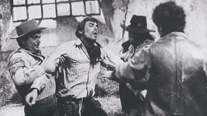 Il tempo degli avvoltoi — foto 1