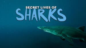 The Secret Lives of Sharks — foto 1