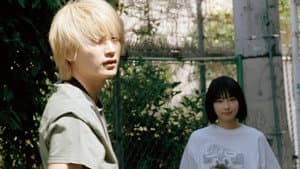 猿楽町で会いましょう — foto 1