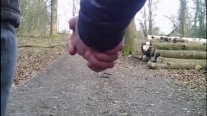 The Terror of Whippendell Wood — foto 1