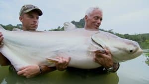 Episodio 4