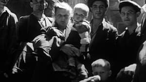 Les survivants, l'impossible départ après la Shoah — foto 3