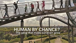Human By Chance? — foto 2