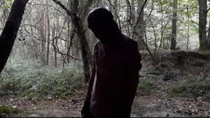 The Silent Forest : Outlast Daylight — foto 5