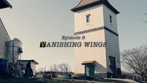 Episodio 9