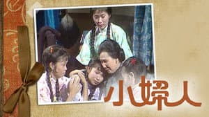 小婦人 — foto 1