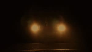 THE WATERS (his) — foto 1