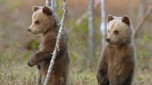 Grandir en pleine nature — foto 1