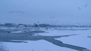 위대한 계약: 파주, 책, 도시 — foto 3