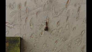 The Mark On The Wall — foto 1