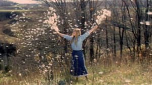 La vraie nature de Bernadette — foto 3