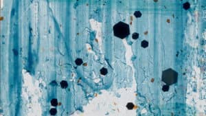 Bleue — foto 1