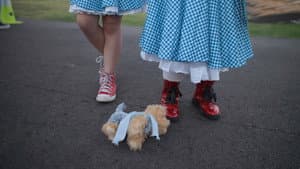 It's Dorothy! — foto 1
