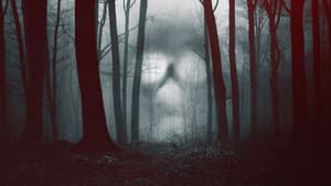 28 días paranormales — foto 2
