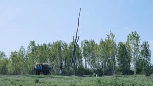 Hukkle — foto 3