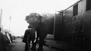 La Tragique Histoire de Fritz l'éléphant — foto 10