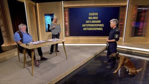 Episodio 3