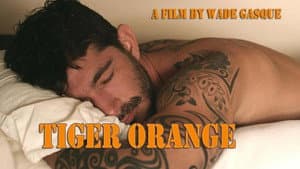 Tiger Orange — foto 10