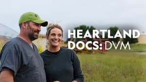 Veterinarios de Heartland — foto 2