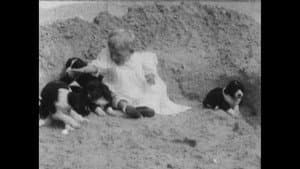 Wonder Dogs! Canine Stars of the Silent Era (1898-1928) — foto 1