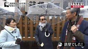 ブラタモリ — foto 3