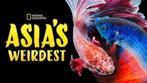 Asia's Weirdest — foto 10