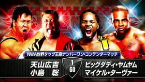 NJPW The New Beginning in Osaka 2014 — foto 9