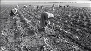 Объяснение в любви — foto 1