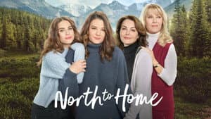 North to Home — foto 4