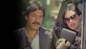 Çılgın Arzular — foto 3