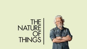 The Nature of Things — foto 11