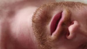 Gingers — foto 4