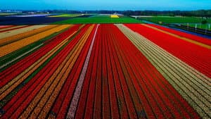 Europe from Above — foto 4