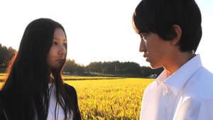 光を追いかけて — foto 1