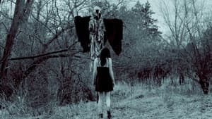 The Gallybagger — foto 1