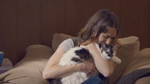 Kitty Mammas — foto 3