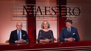 Maestro — foto 1